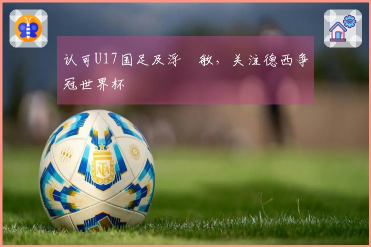 认可U17国足及浮嶋敏，关注德西争冠世界杯